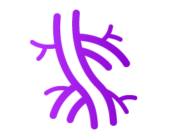 Line art icon of vein.