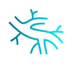 Vein with open valves illustrated in blue green gradient.