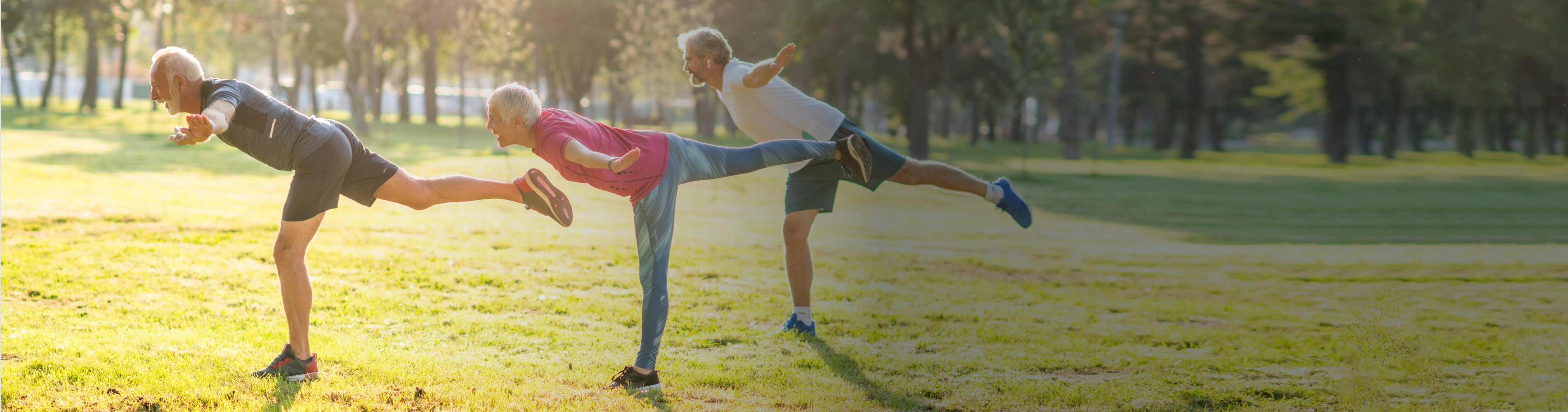 Senior men doing yoga in a park