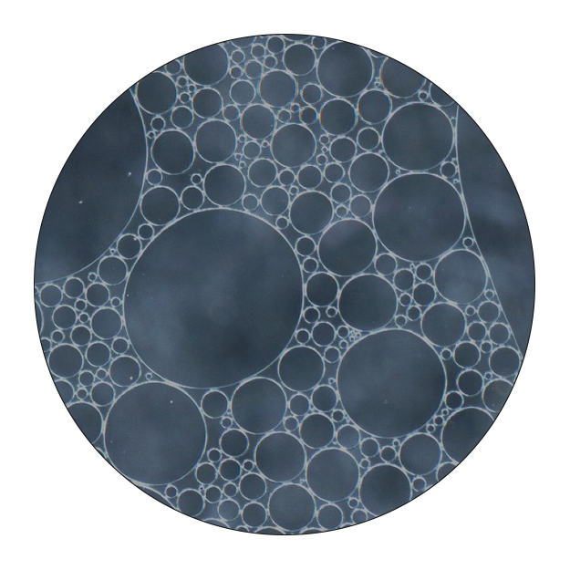 Circle with black background and various small and large sized bubbles.