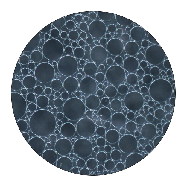 Circle with black background and various small sized bubbles.