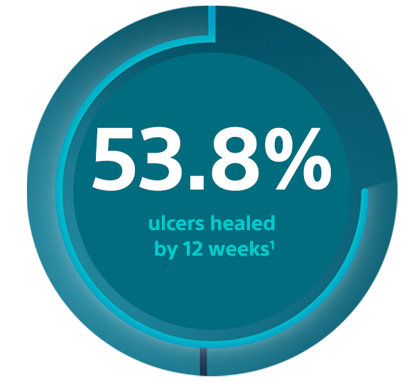 53.8% ulcers were healed by 12 weeks.