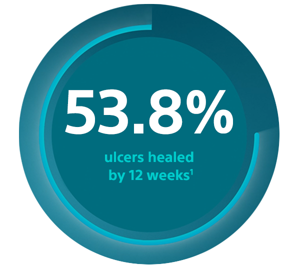 53.8% ulcers were healed by 12 weeks.